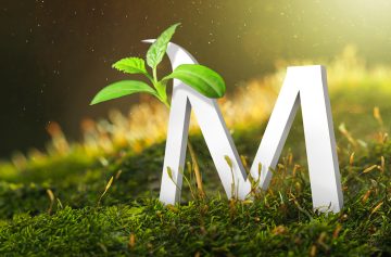 Foto: Bank Millennium