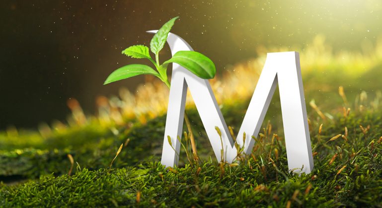 Foto: Bank Millennium