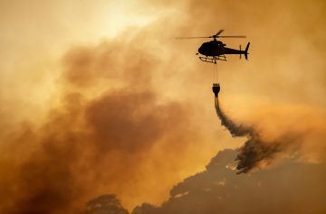 Foto: Adobe Stock/toa555