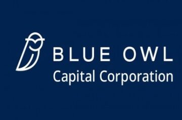 A Blue Owl é uma empresa de crédito privado/Foto: Blue Owl