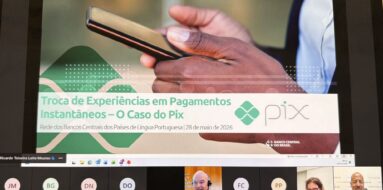 O primeiro Webinar dos bancos centrais da lusofonia/Foto: Banco de Portugal
