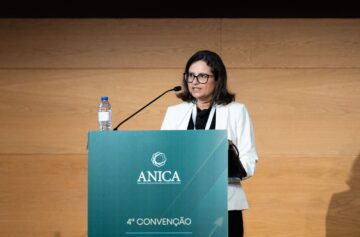 Fernanda Matias coordenadora da área da intermediação de crédito do Banco de PortugalFoto  Melissa Dores
